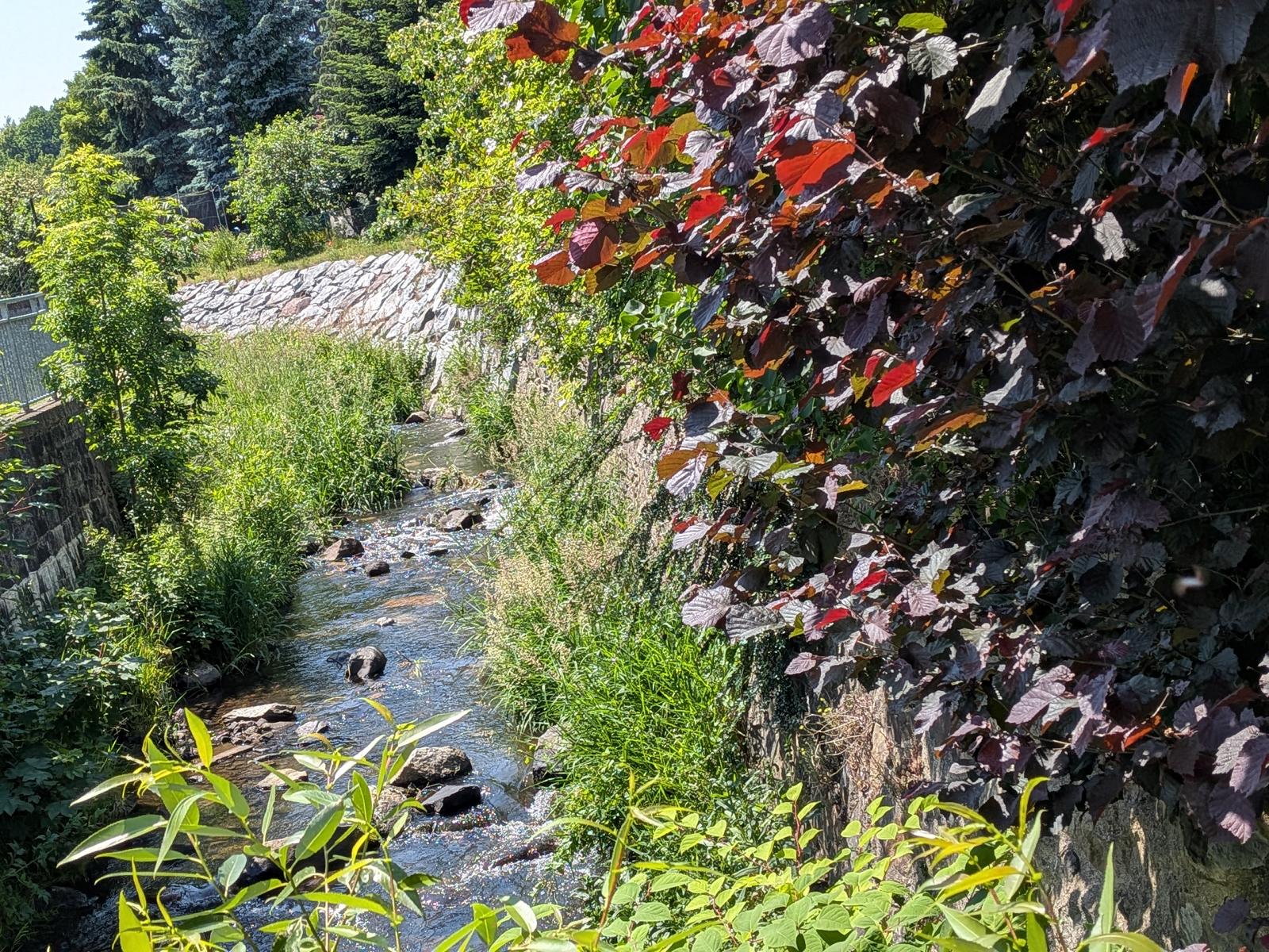 Fluss Lausur am Grundstück